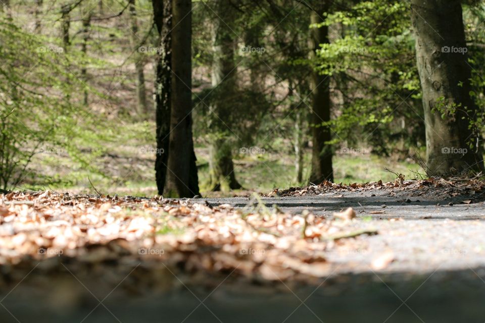 Snogeholmssjön, Skåne, Sweden 