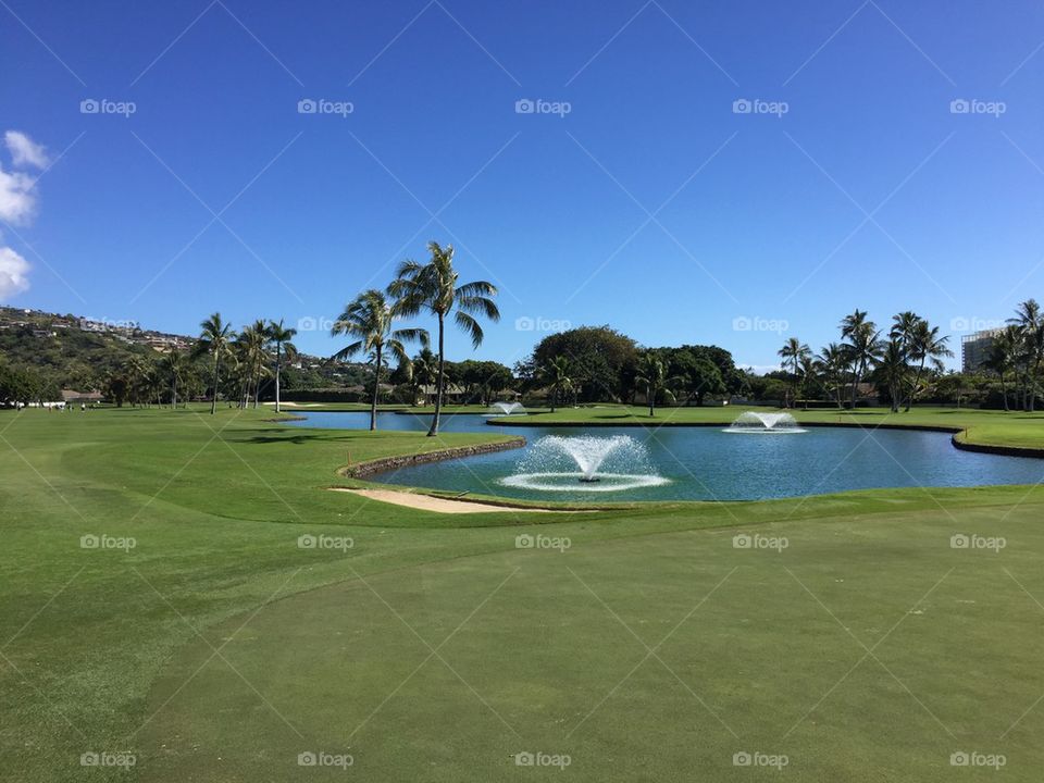 Golf course Hawaii 