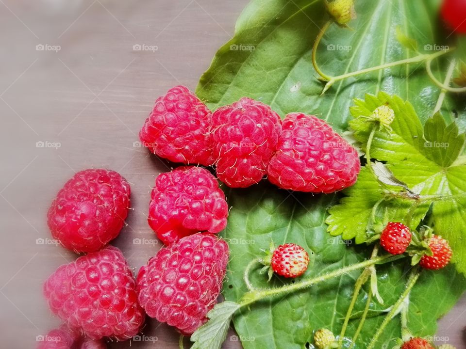 Wild and home berries