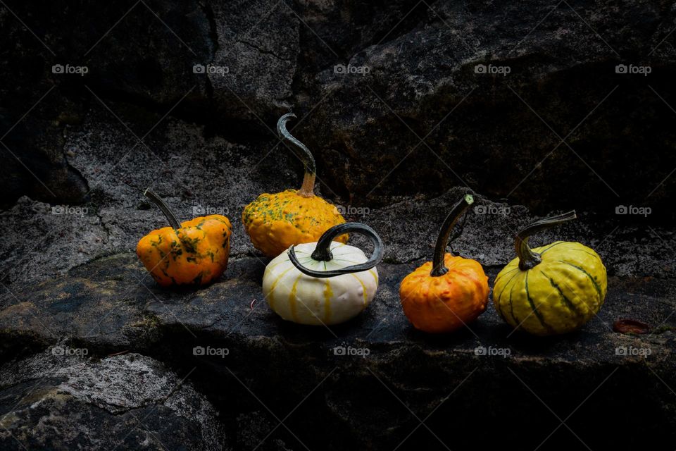 pumpkin's