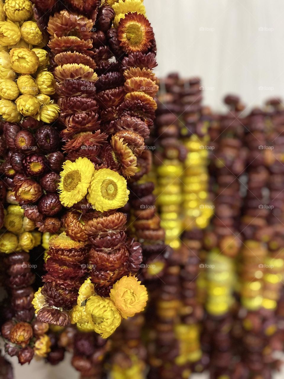 These are the kadkadi flower garlands . The specialty of this is it stays fresh for more than a year. It’s sold by a company called Amovikta enterprises in India . Check it out on google to find more details
