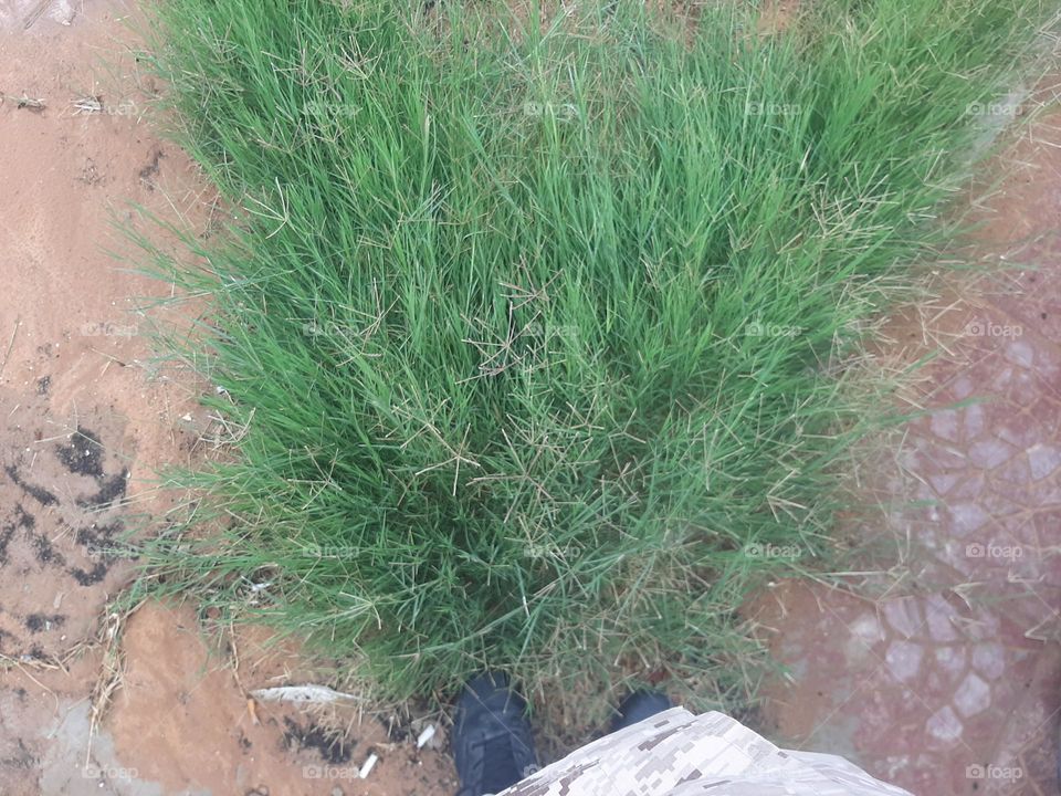 Please help me, I am very poor, I need your support and God is in need