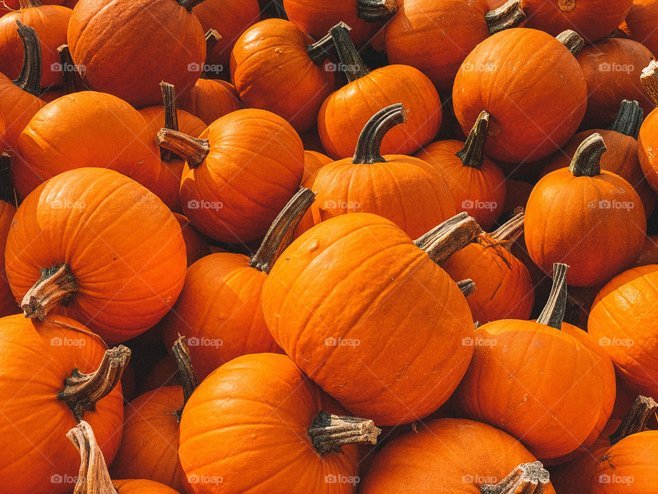 Pumpkins