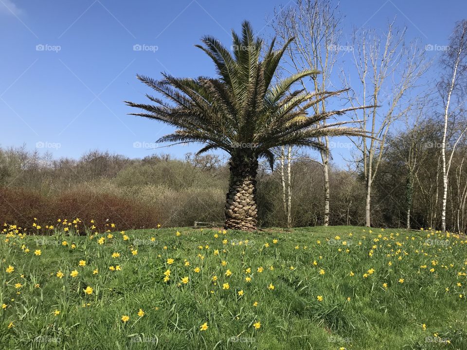 An English Riviera welcome, presents as summer like, but still spring, Welcome to Torbay in the UK