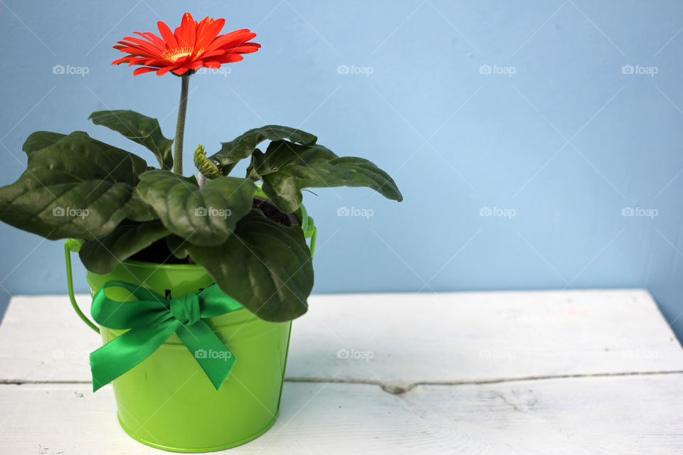 Homemade red flower in green pot on a blue background and white table