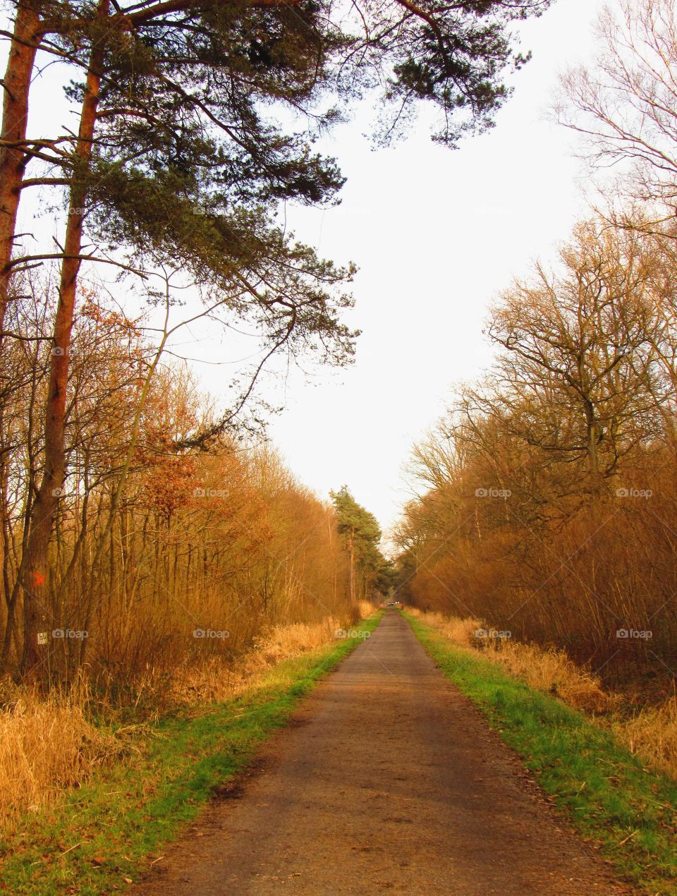 Hiking trails