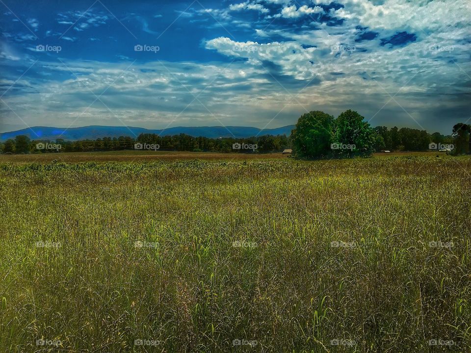 Wide open field and mountains. Summer's day on an open field with mountains in the background 