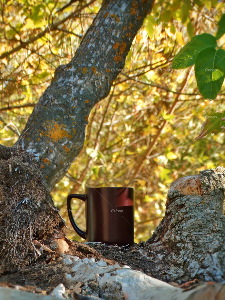 Coffee in the autumn forest