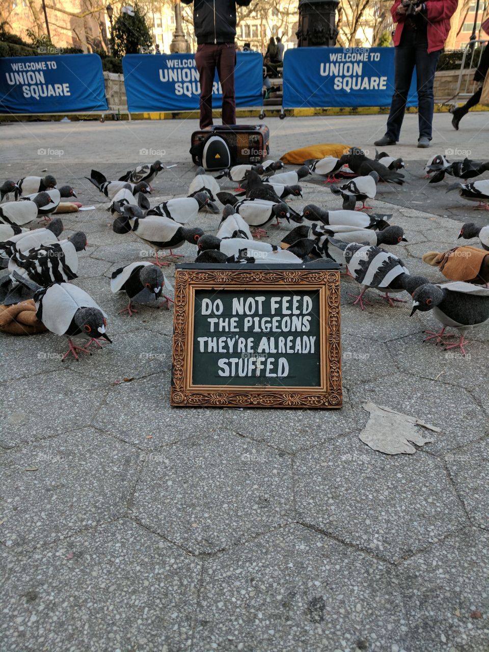 Stuffed Pigeons Street Art - Union Square - NYC