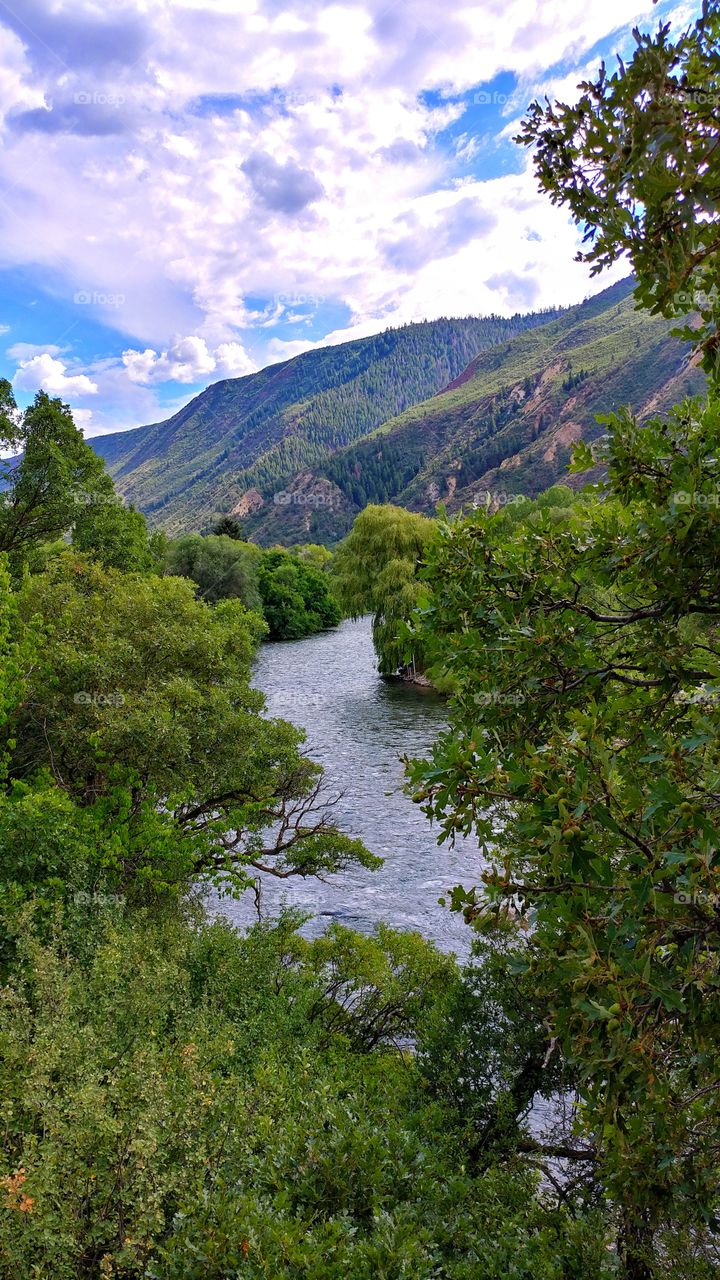 Lush green foliage lines the flow of the Roaring Fork River on a hot summer's day in the mountains.