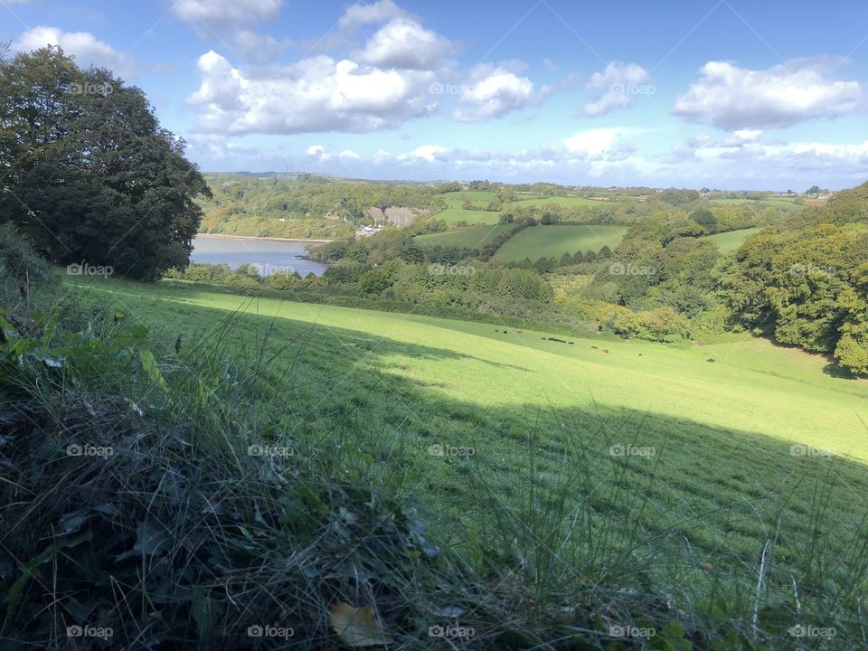 Devon sun-filled countryside that demand the viewers eye, rich in beauty and charm.