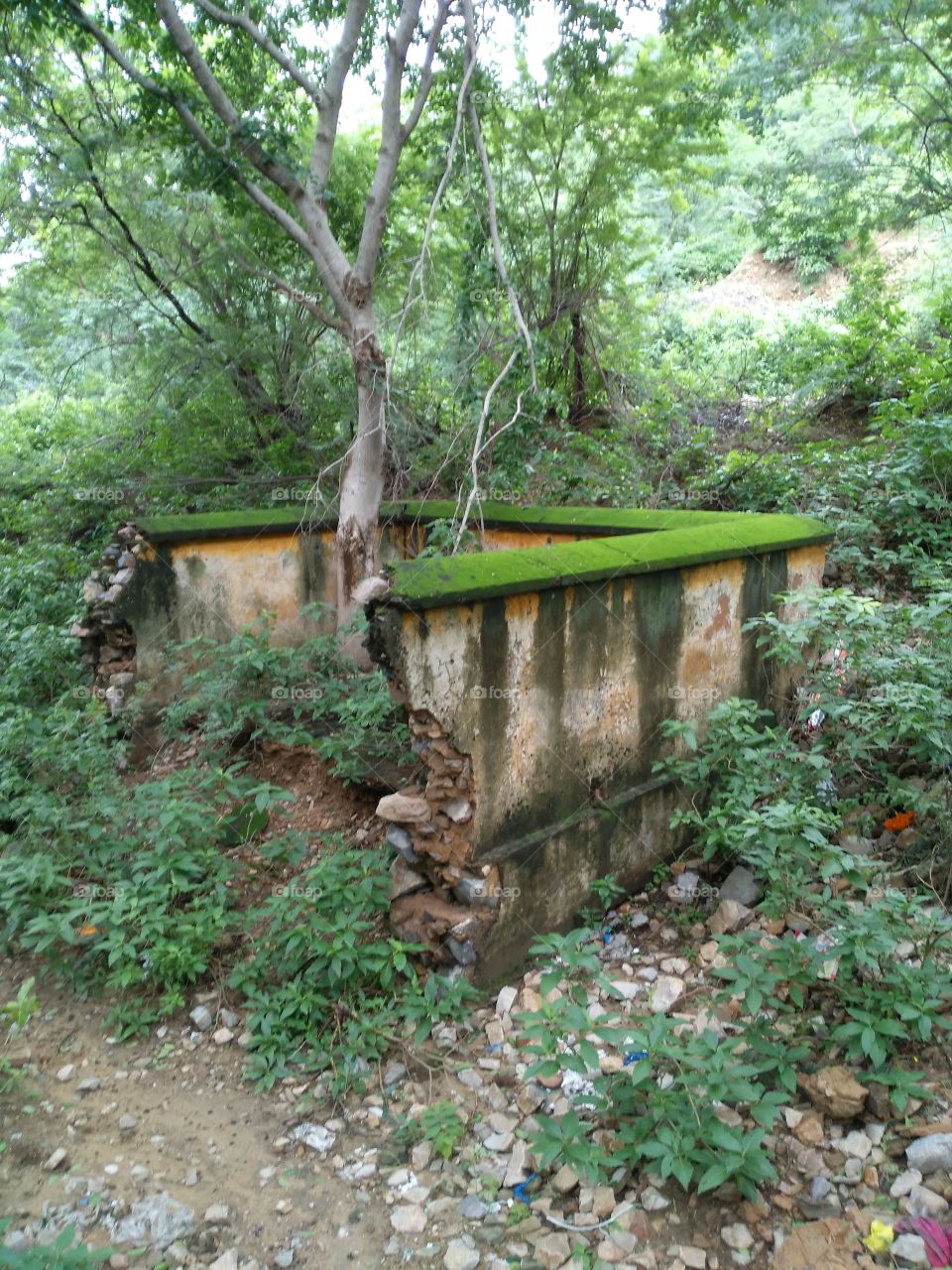 Abandoned brick wall in forest
