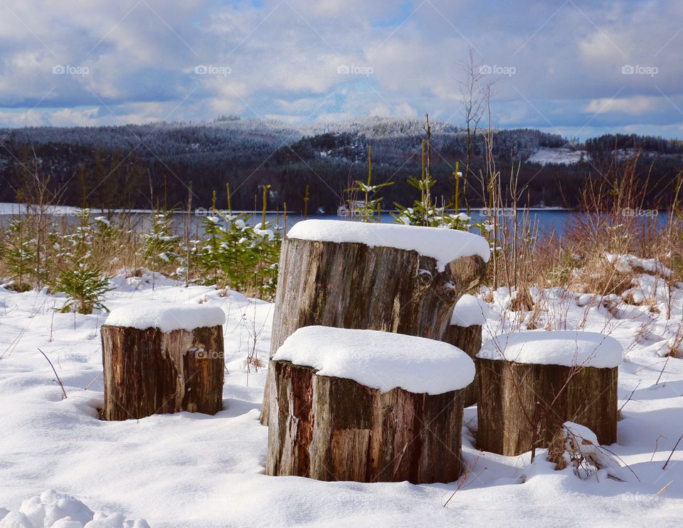 Wooden place with a View