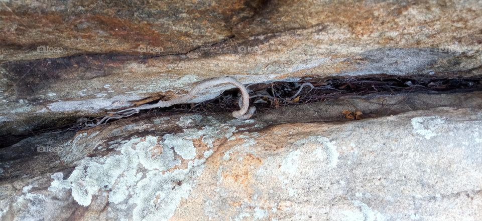 cave top of the rock