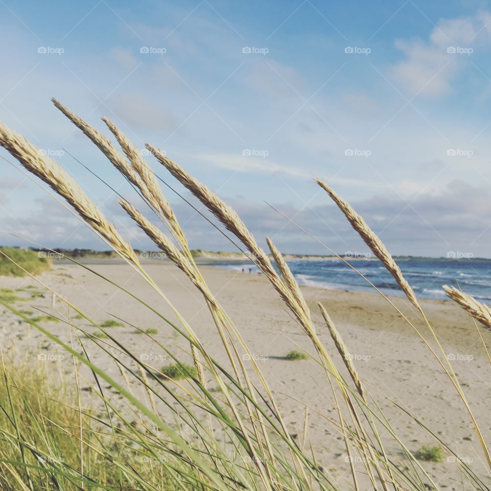 Borestranden in Norway 