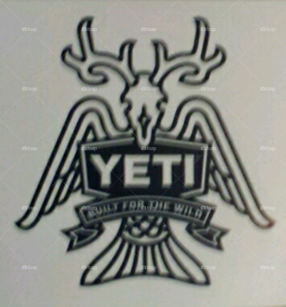 #YetiOrOrca