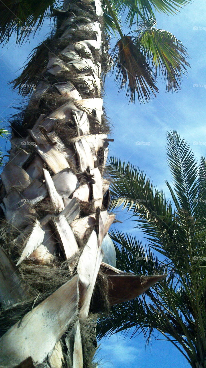 Beautiful urban life