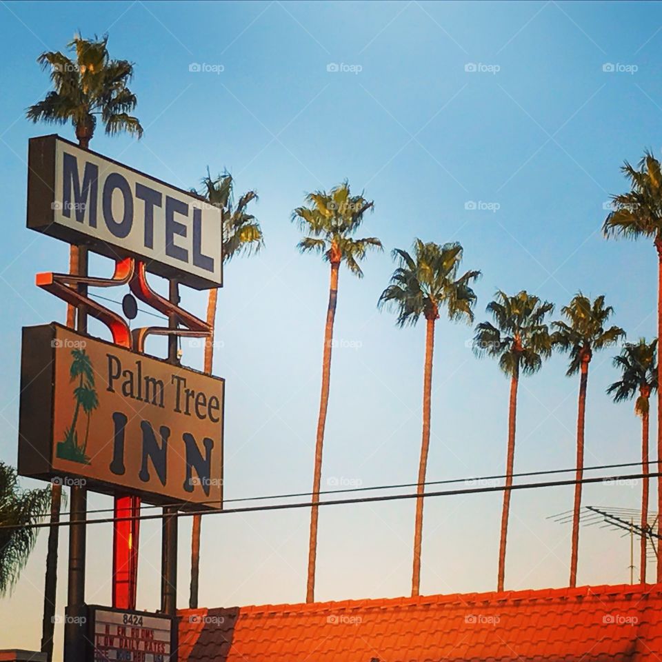 Palms Motel