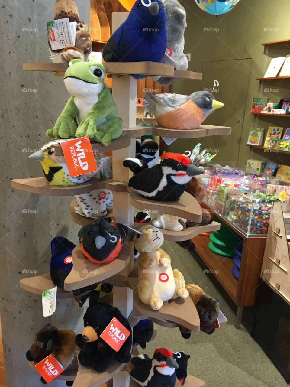 Fun toys for fun kids big and small! This place has a nice variety of items to buy.