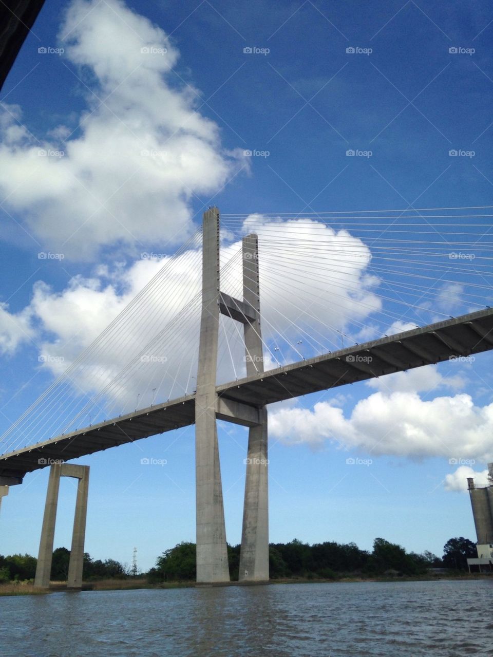 Savannah bridge
