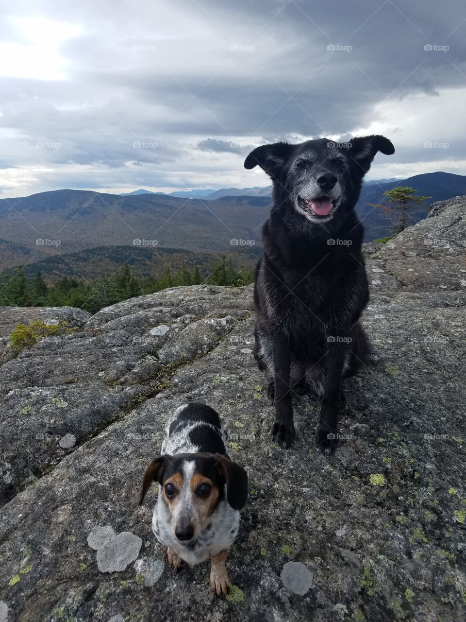 Hiking buddies