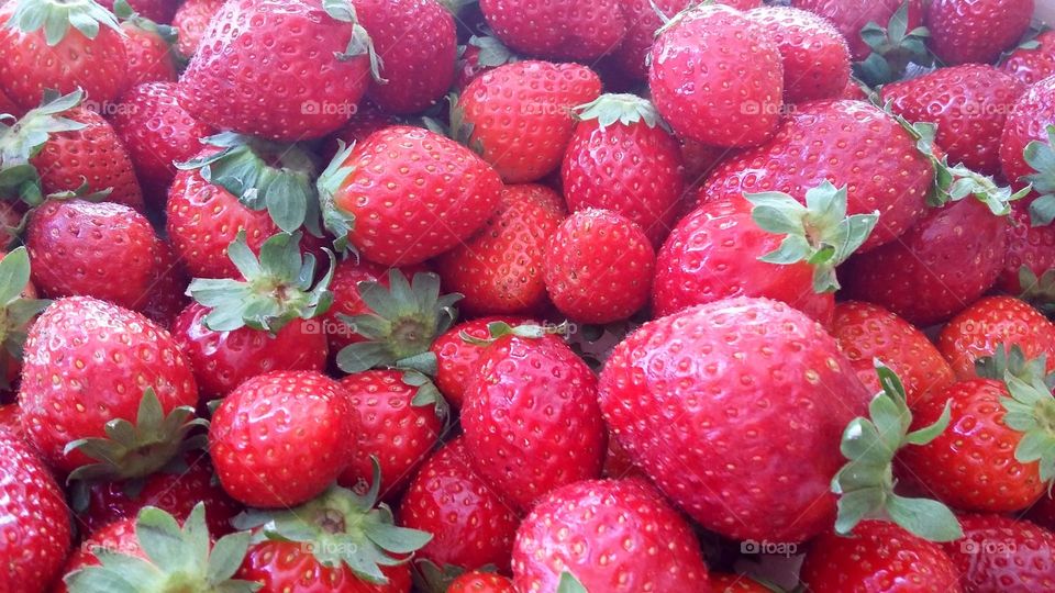 strawberry italian. fragole italiane