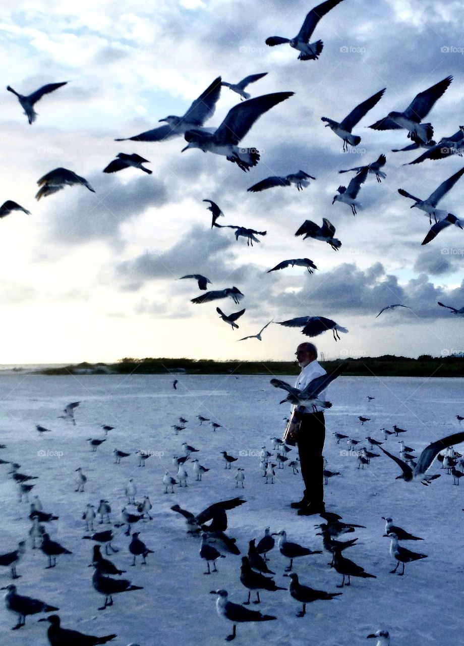 Man on beach feeding bread to the birds at dusk 