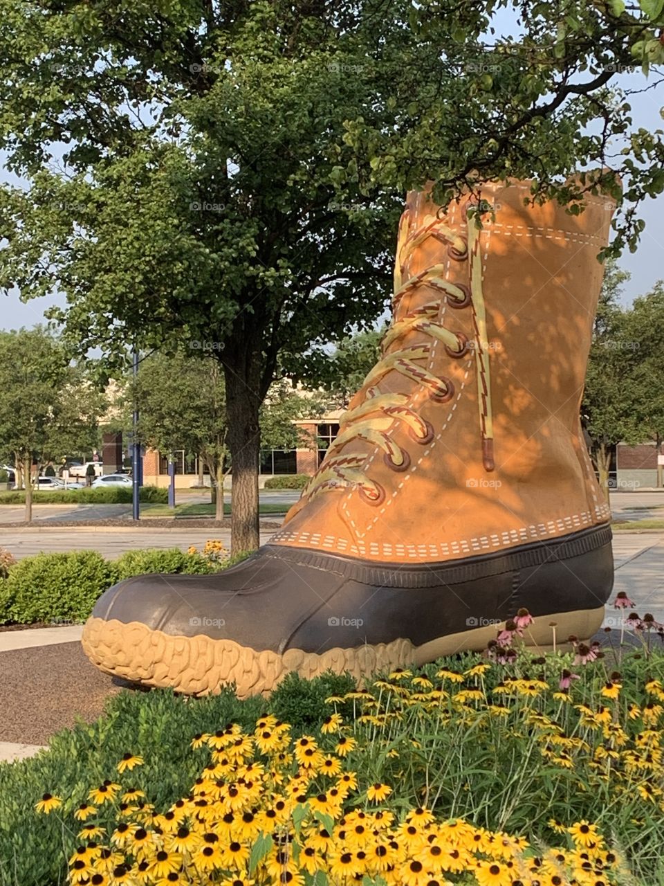 A giant shoe, on an early morning trek through the mall. A unique art installation. 