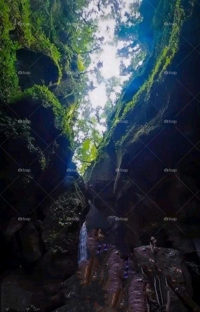 A most beautiful and attractive view in the forest.