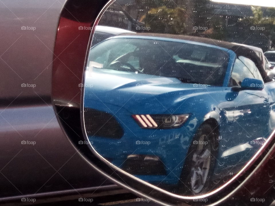 mustang on my mirror