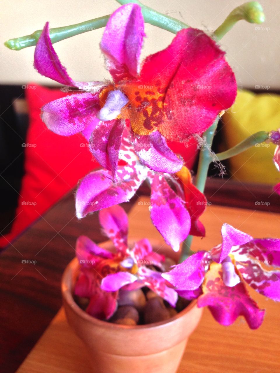 Central Red

Published by:
HappyBrownMonkey 