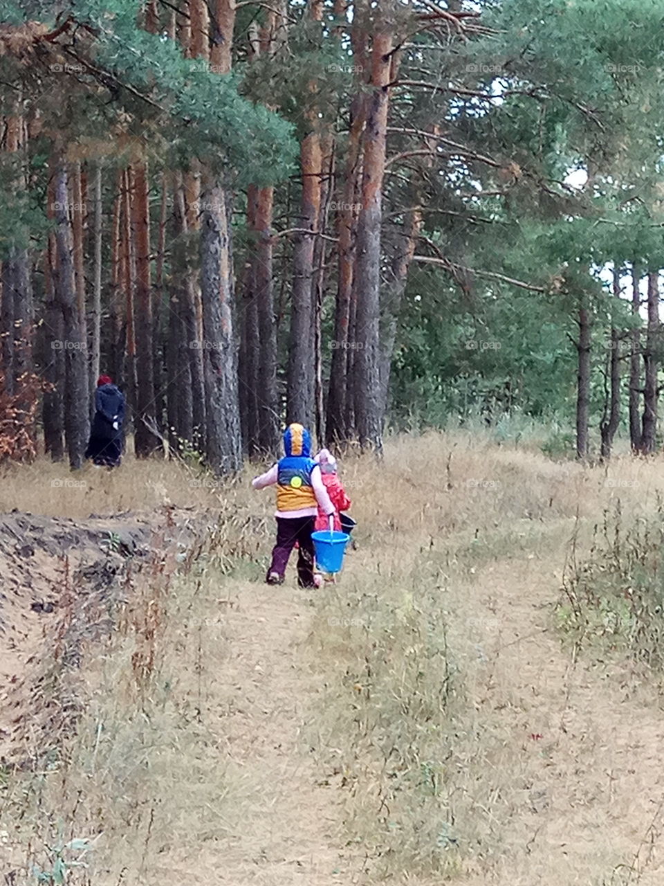 beautiful place - forest,  special for kids ..