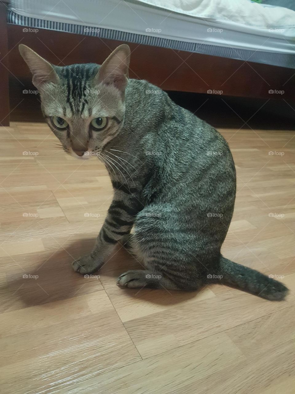 seductive and annoying