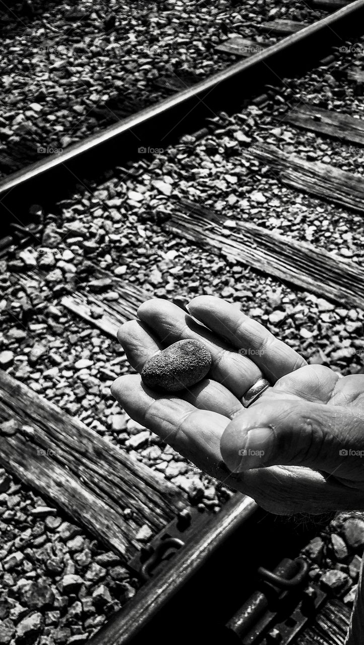 Rock from our hike on the railroad tracks
