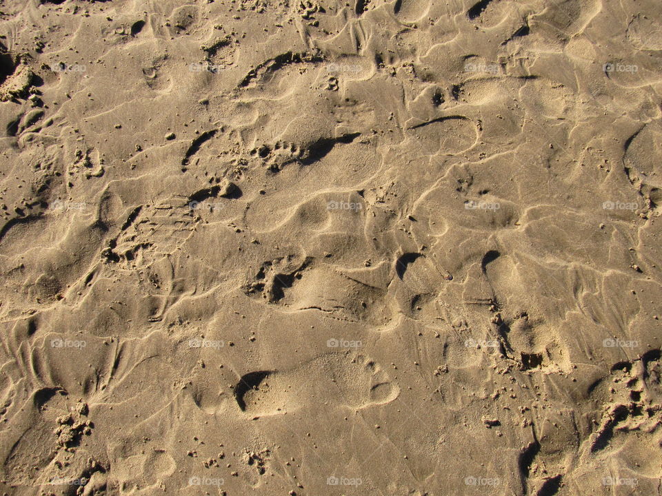 Footprints on beach