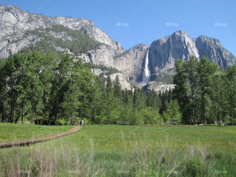 Upper Yosemite falls. Waterfall from the valley