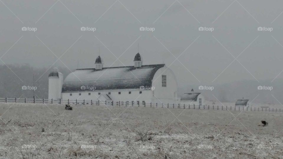 No Person, Winter, Outdoors, Fog, Nature