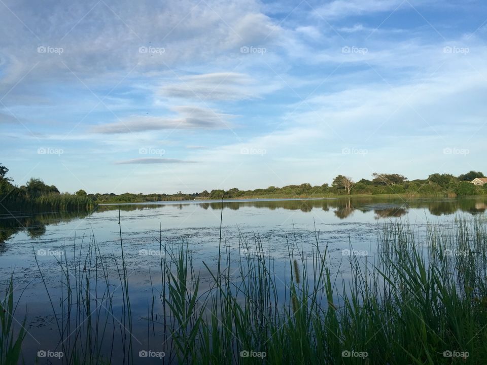 Hook Pond, east Hampton NY. An afternoon bike ride ends with this view. 🙏