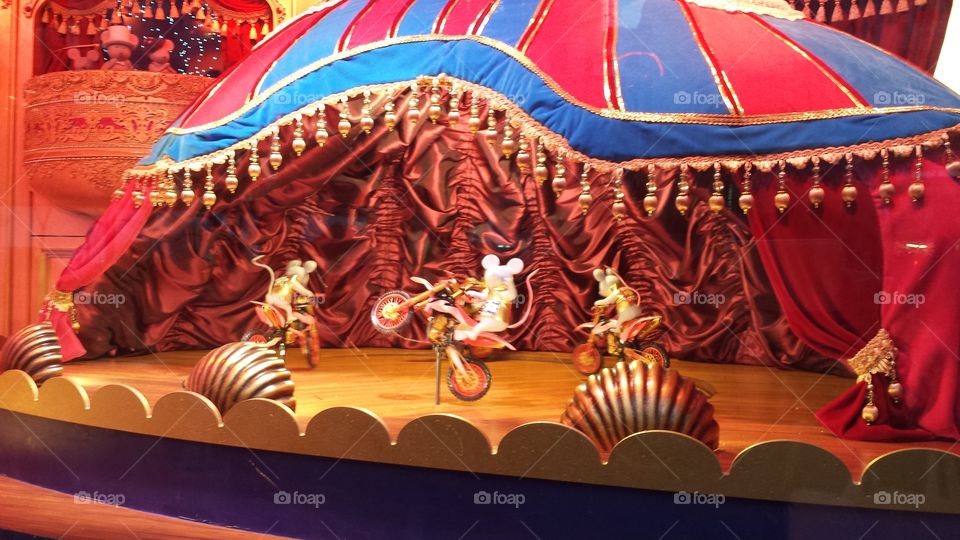 it's the most wonderful time of the year