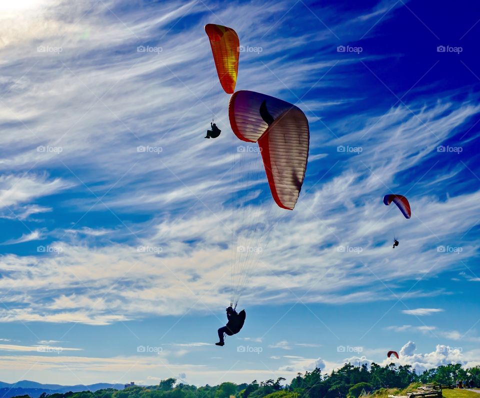 Summer sky full of paragliders - sunny adventures 