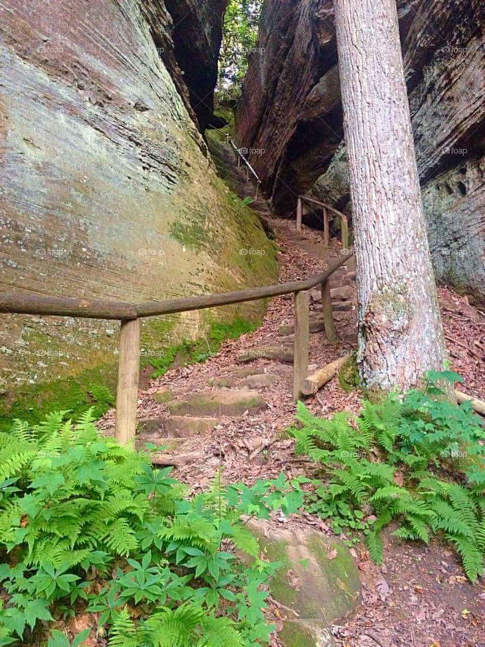 stairway to natural bridge