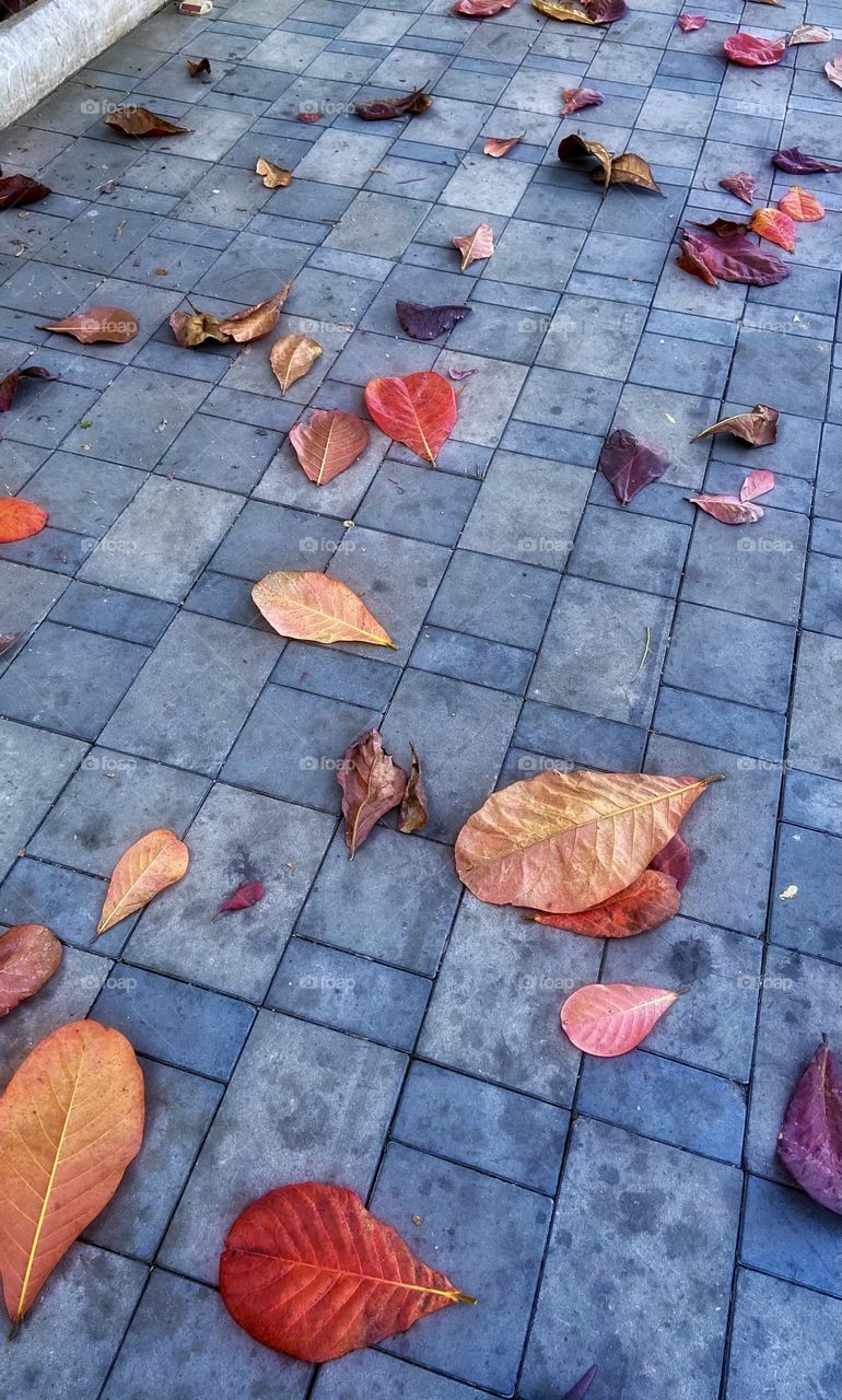 Hello Fall! Life starts all over again when it gets crisp in the fall. 