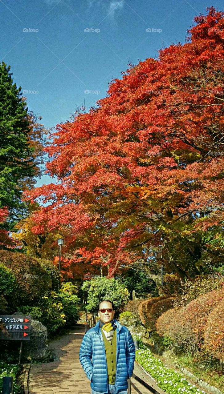 Autumn in Japan...