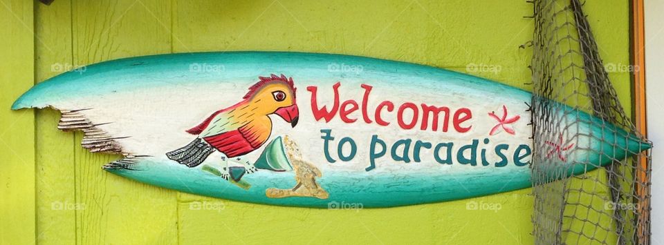 Welcome to paradise