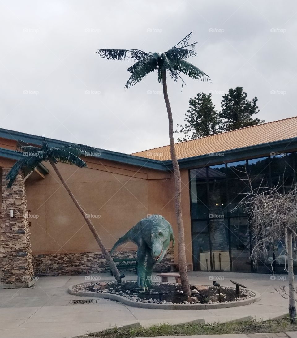 Dinosaur Center