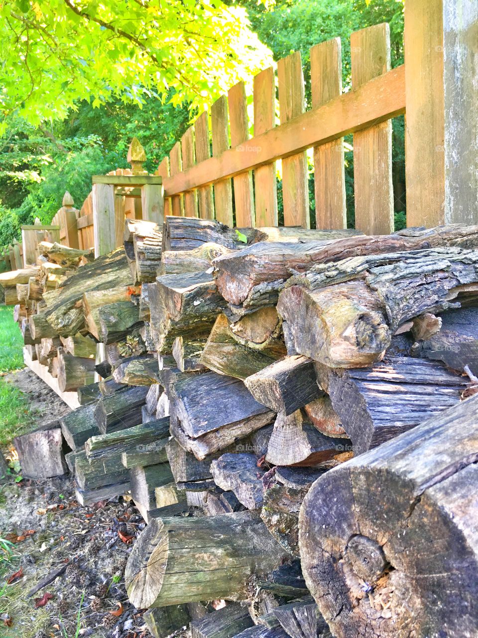 Woodpile 