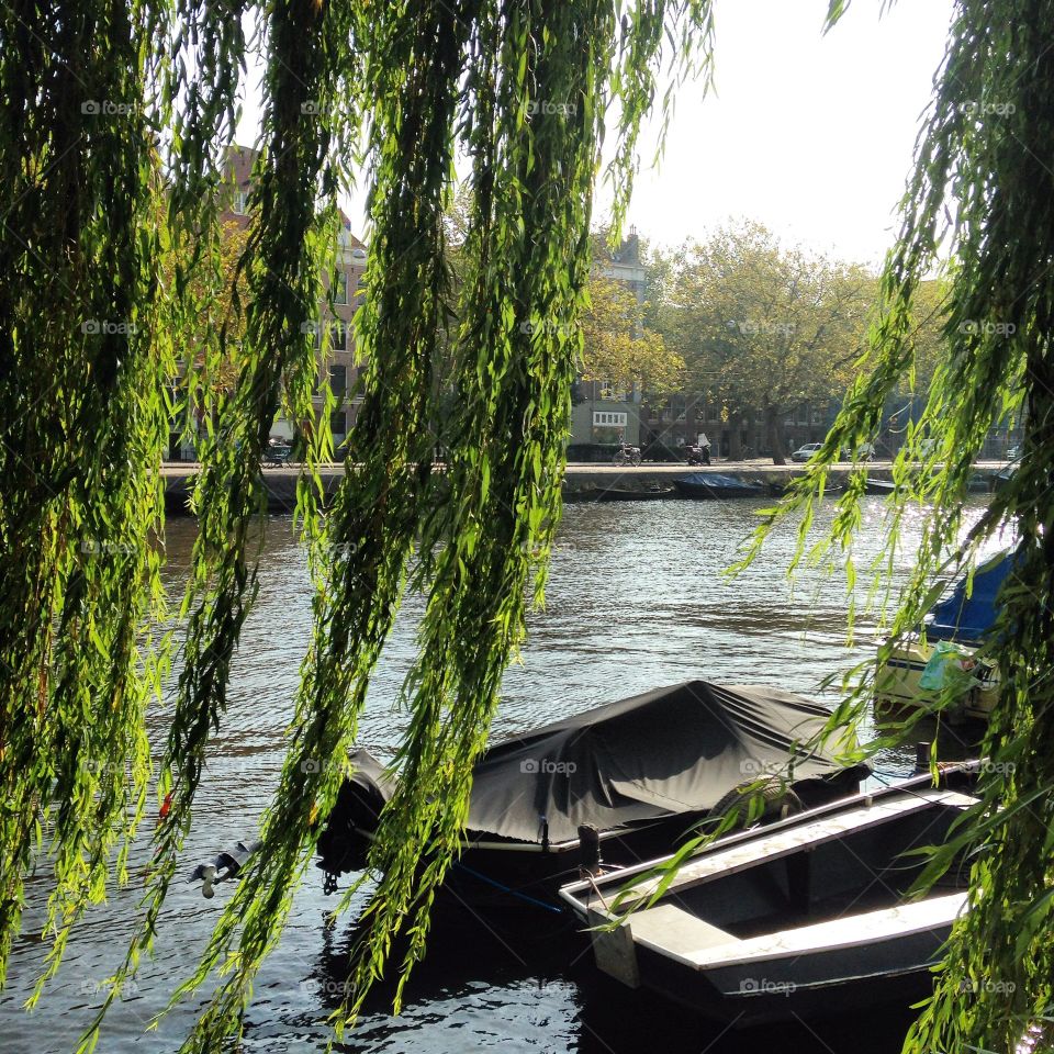 Boats on the lake