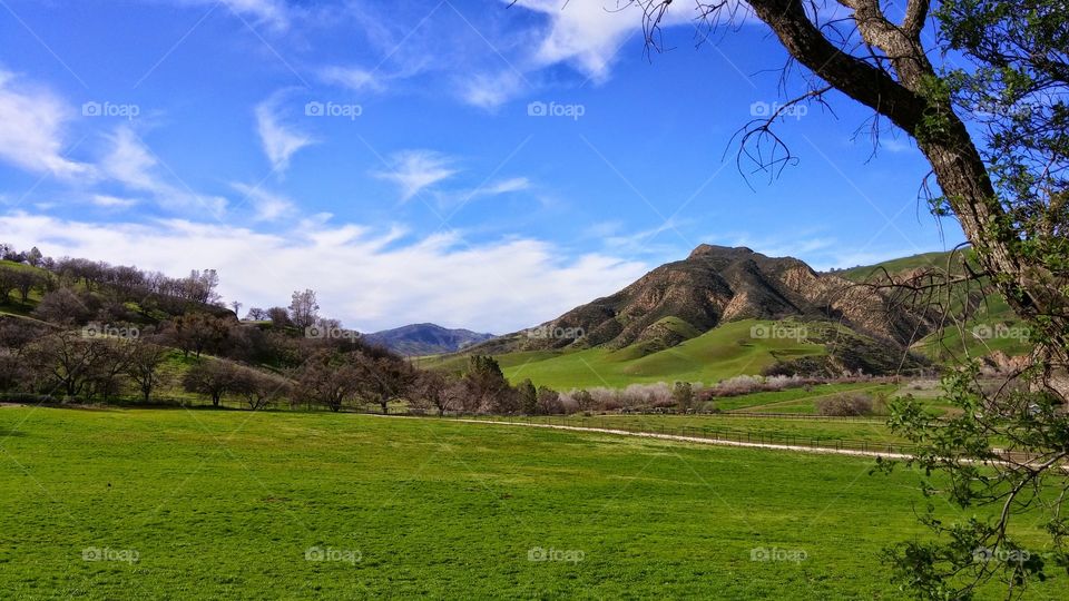 country landscape