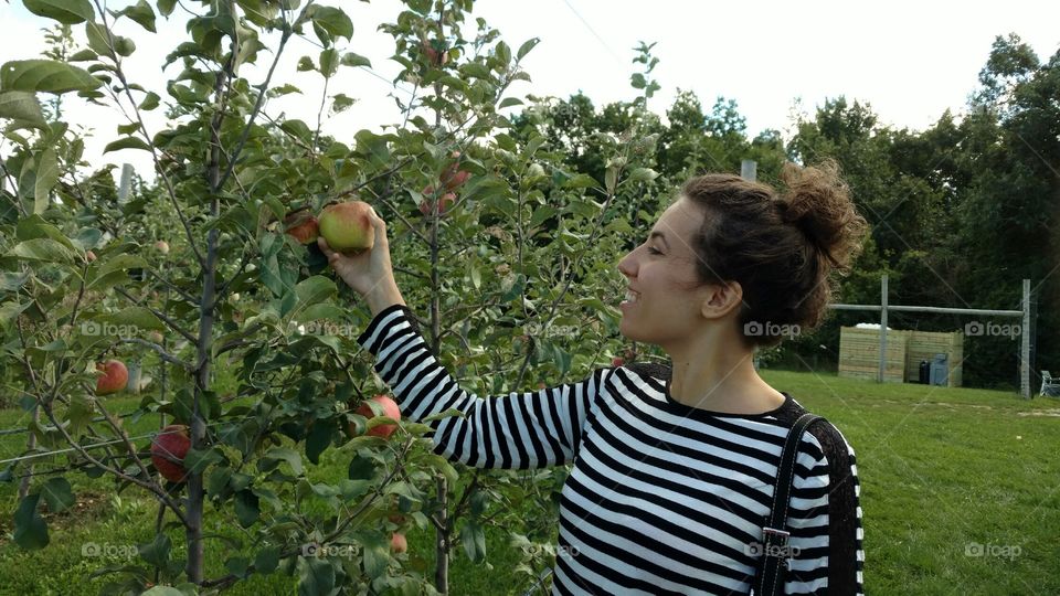 Apple picking 