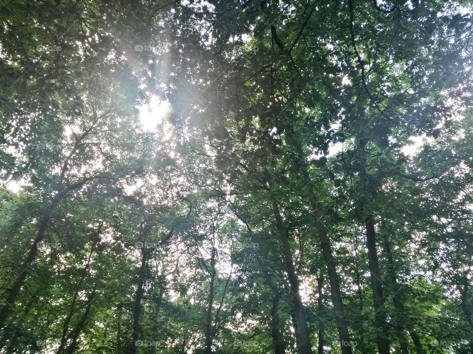 Peaceful Piercing Light